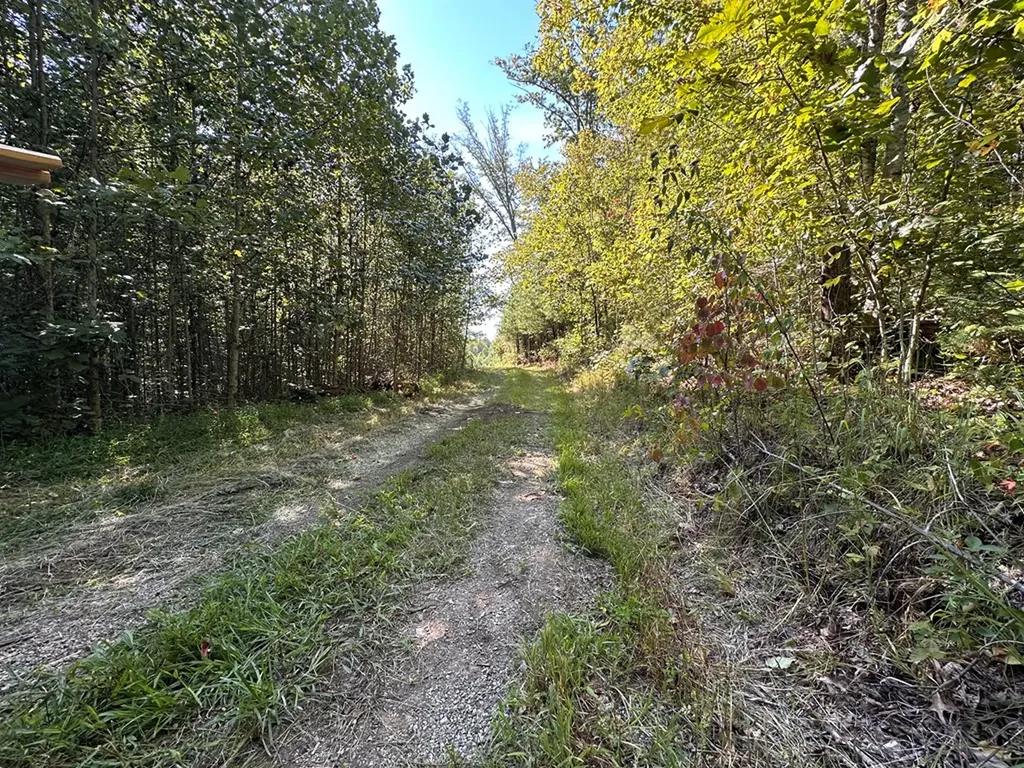 13.44 Ac Chestnut Ridge Road Allardt TN 38504