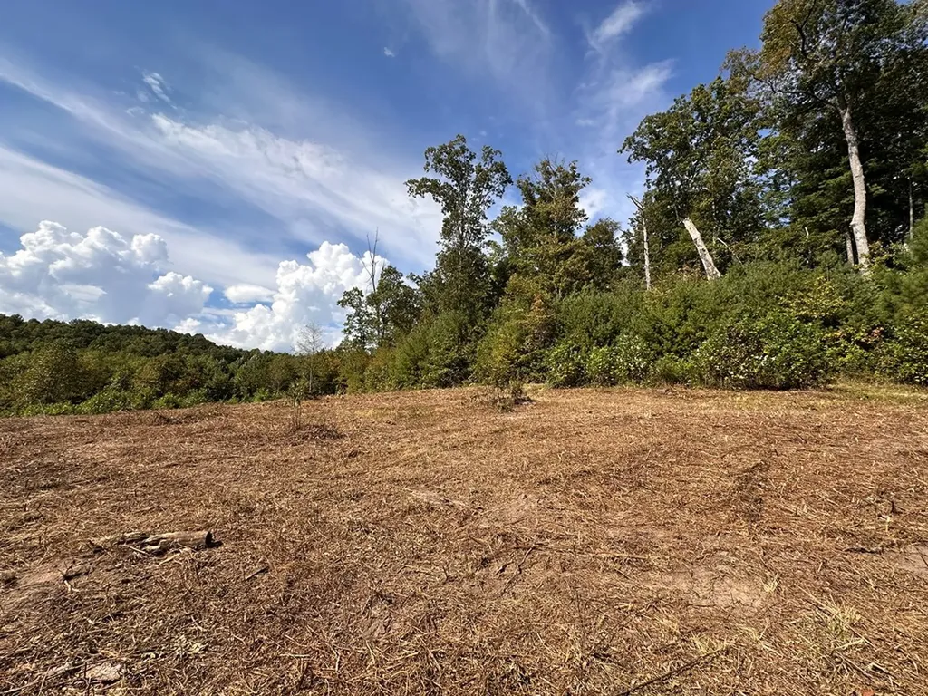 13.44 Ac Chestnut Ridge Road Allardt TN 38504