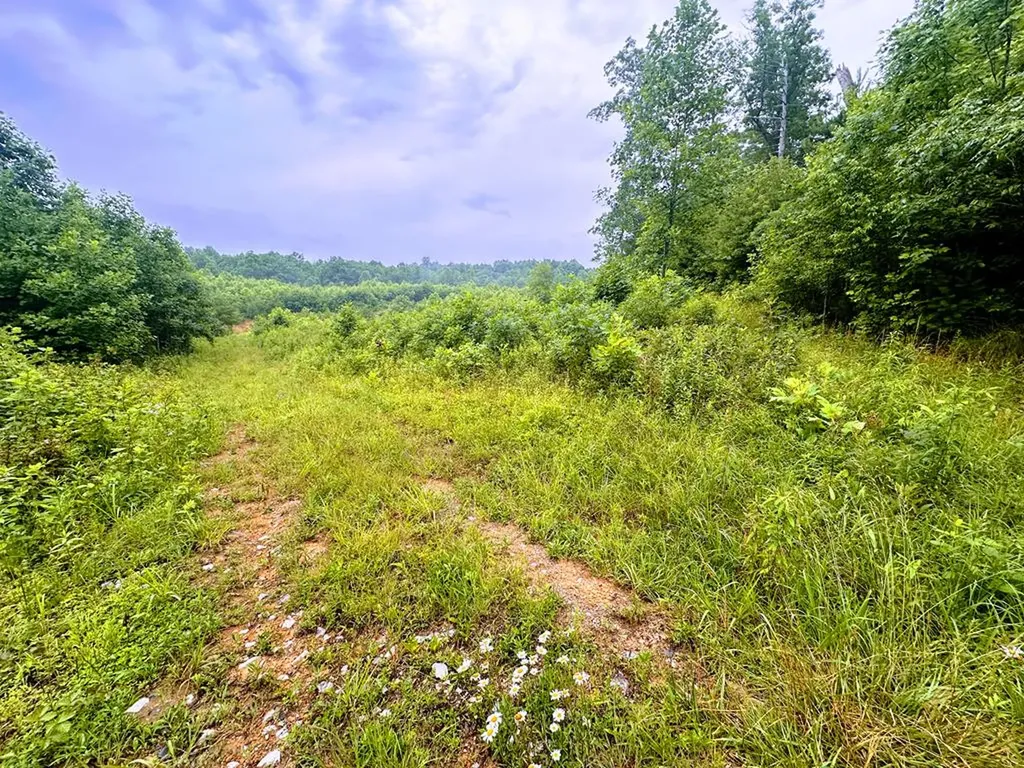 13.44 Ac Chestnut Ridge Road Allardt TN 38504