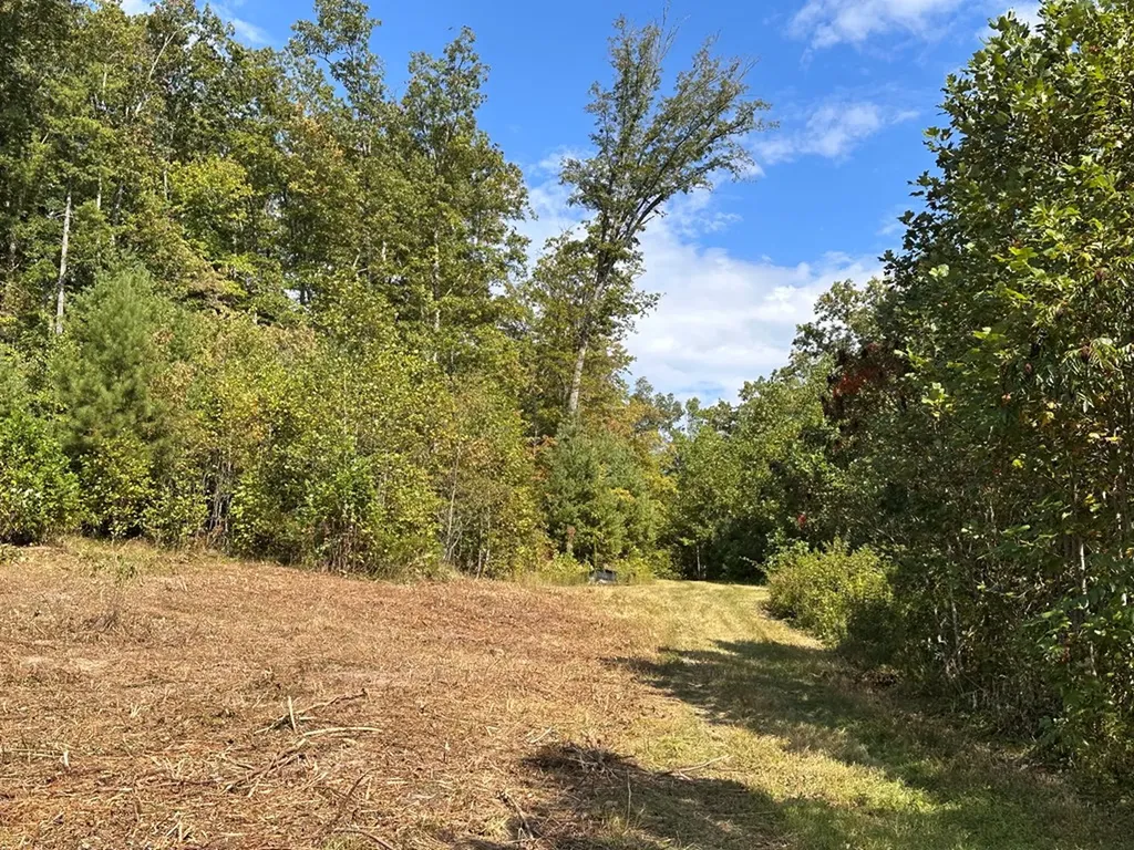 13.44 Ac Chestnut Ridge Road Allardt TN 38504