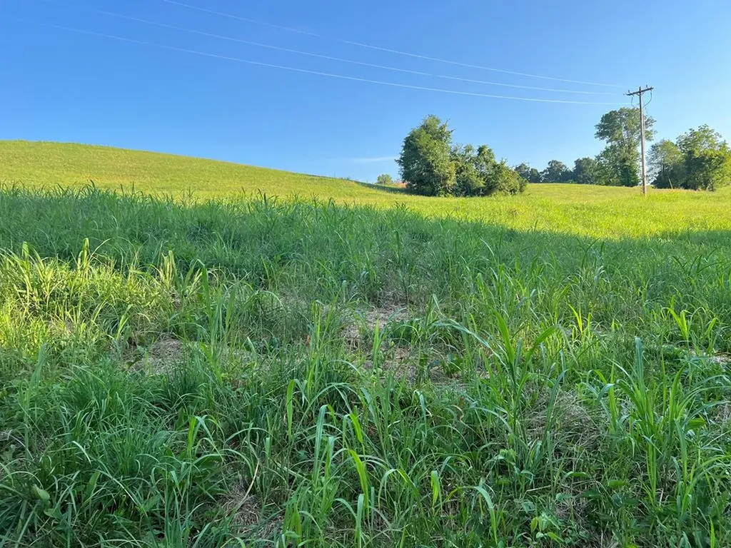 Lot 20 Amonett Circle Byrdstown TN 38549