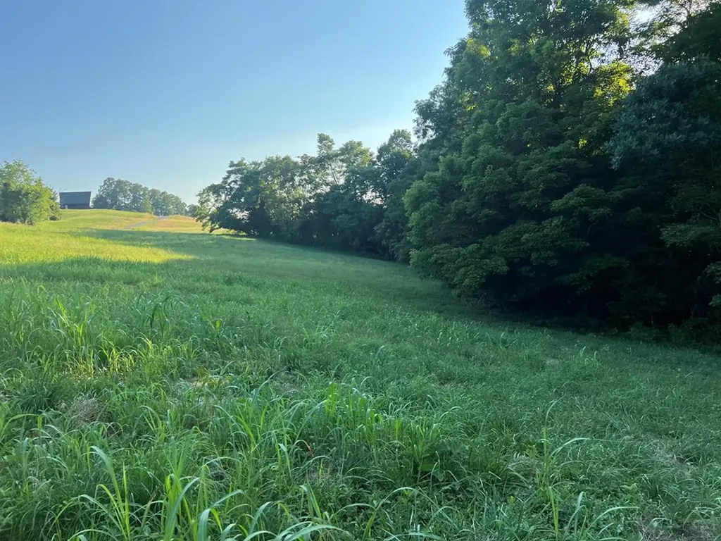 Lot 19 Amonett Circle Byrdstown TN 38549