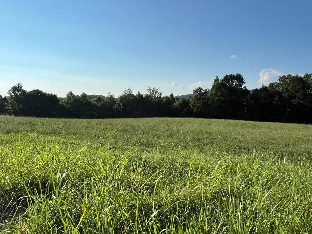 Lot 26 Amonett Circle Byrdstown TN 38549