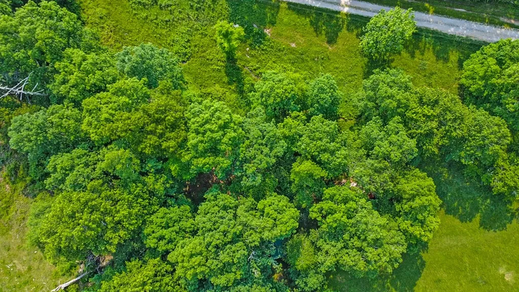 4250 Standing Rock Road Jamestown TN 38556