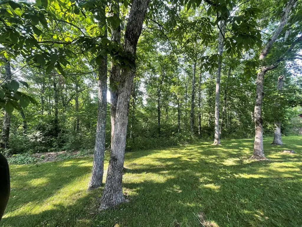 56 Robbins Nest Drive Crossville TN 38571