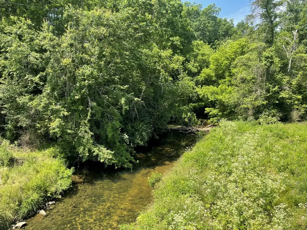 56 Robbins Nest Drive Crossville TN 38571