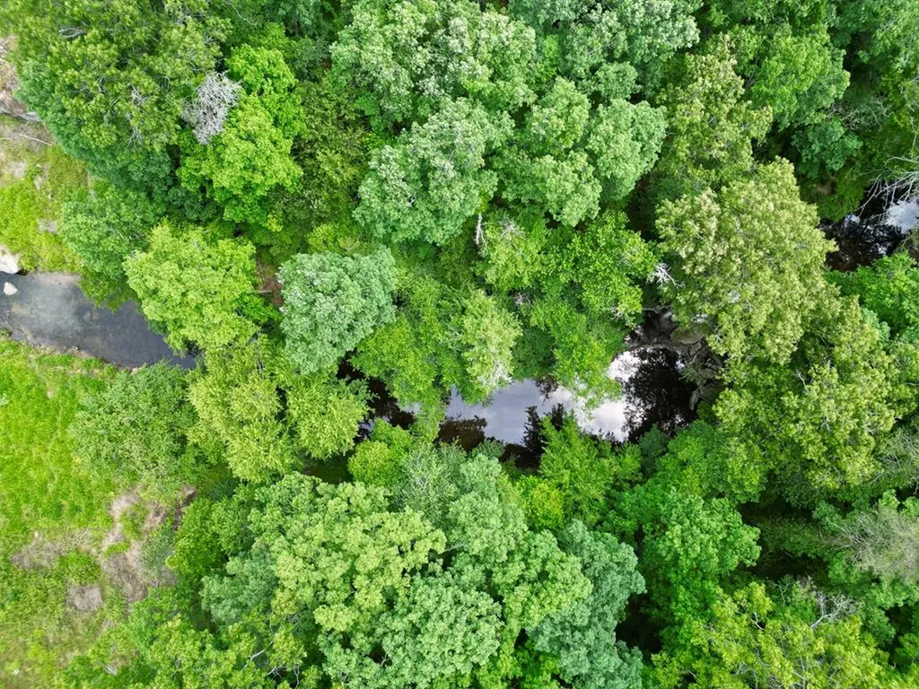 56 Robbins Nest Drive Crossville TN 38571