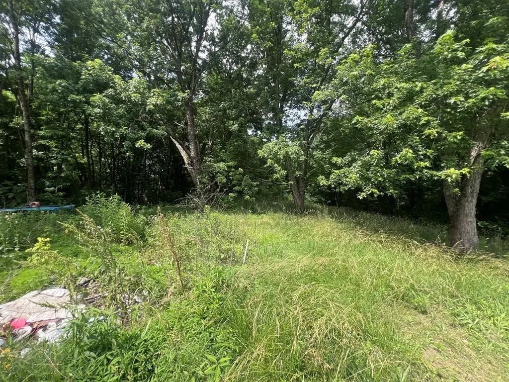 1311 Old Union Road Hilham TN 38568