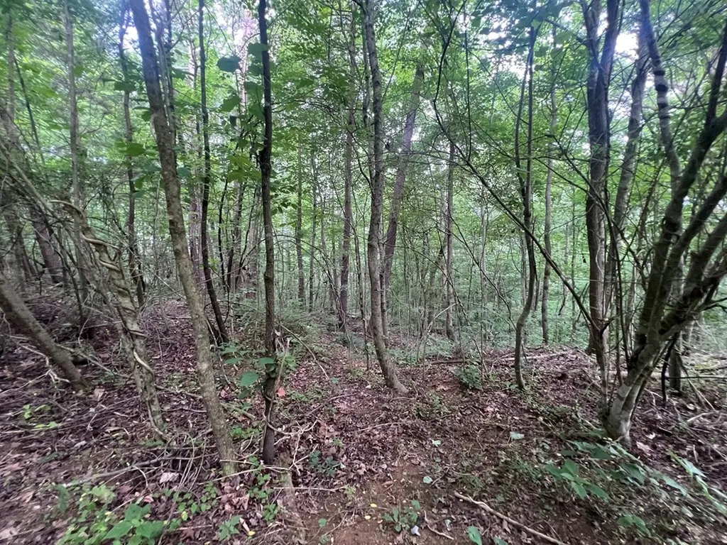 1311 Old Union Road Hilham TN 38568