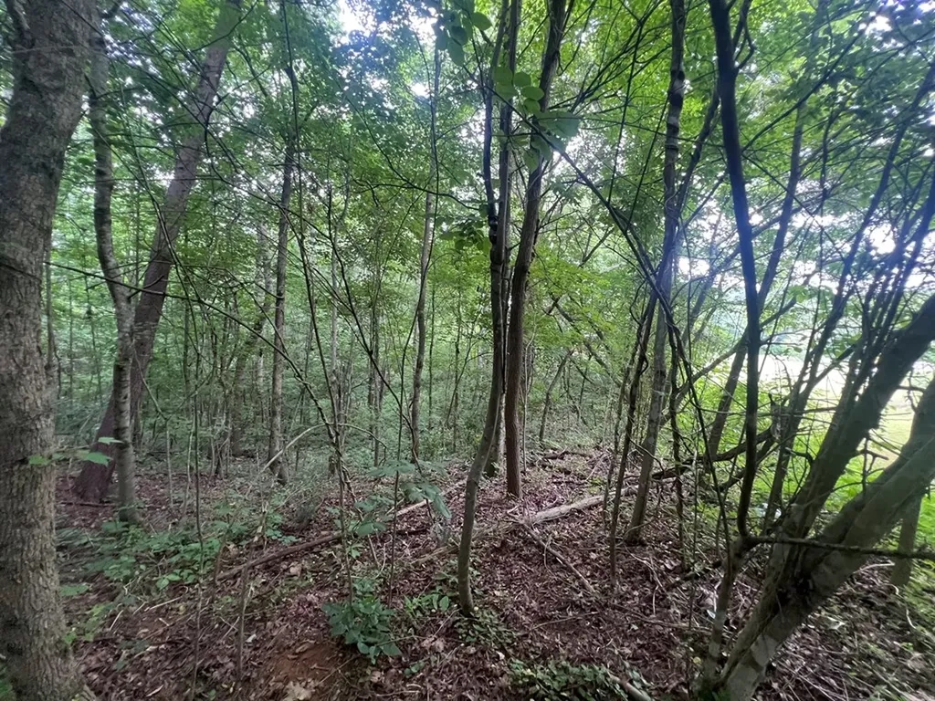 1311 Old Union Road Hilham TN 38568