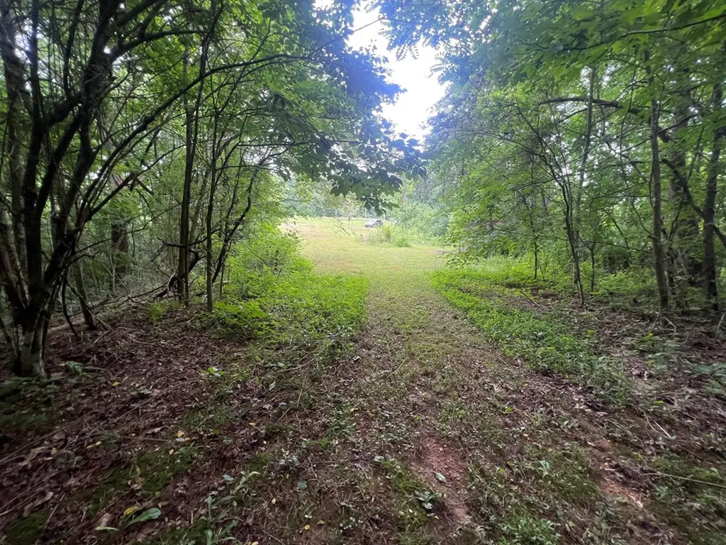 1311 Old Union Road Hilham TN 38568