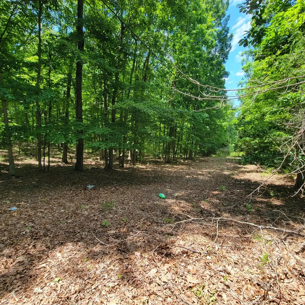 19 Vincent Road Spencer TN 38585