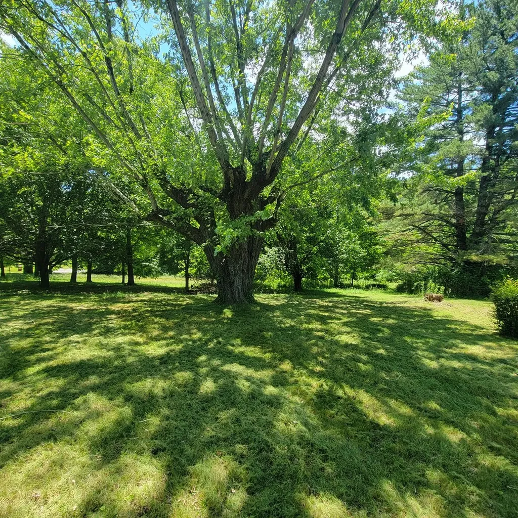 19 Vincent Road Spencer TN 38585