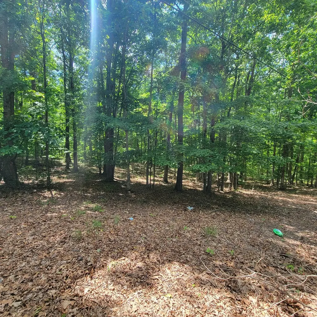 19 Vincent Road Spencer TN 38585