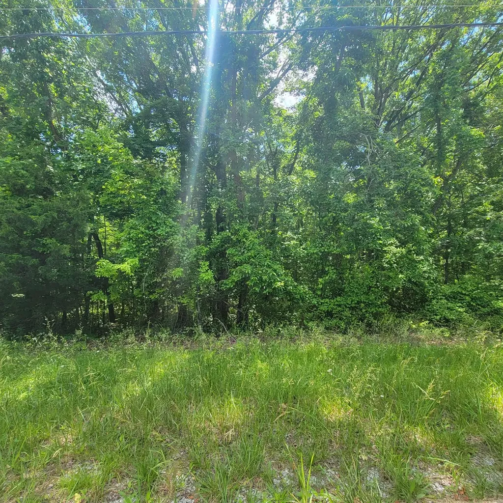 19 Vincent Road Spencer TN 38585