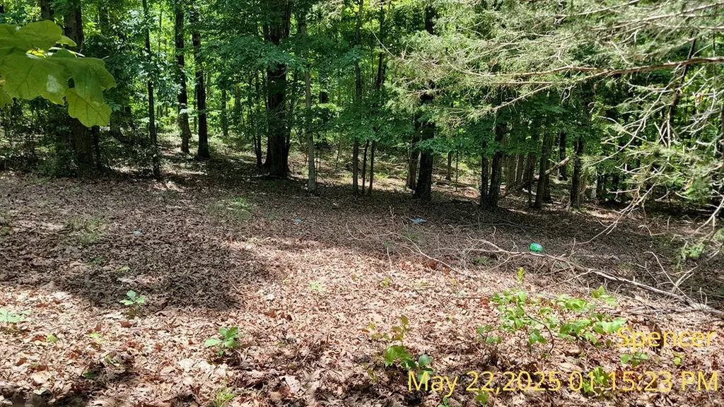 19 Vincent Road Spencer TN 38585