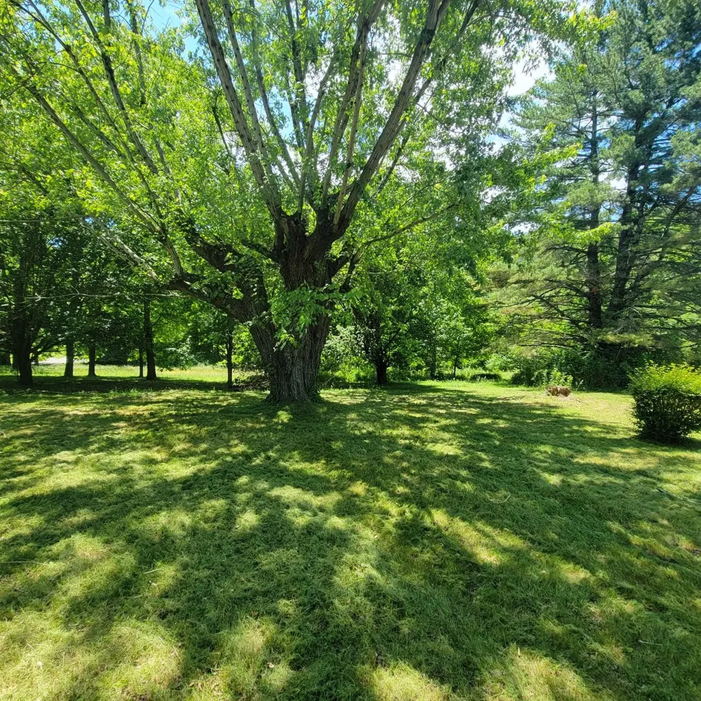 19 Vincent Road Spencer TN 38585