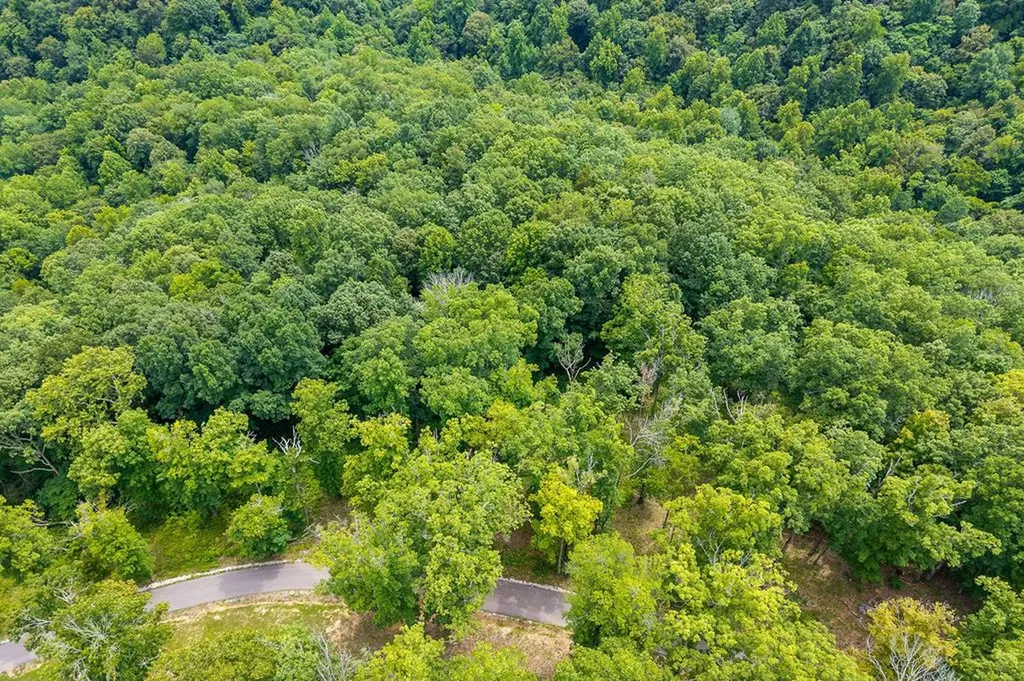 31 C Rock Fish Road Hilham TN 38568