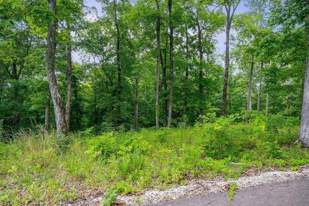 31 C Rock Fish Road Hilham TN 38568