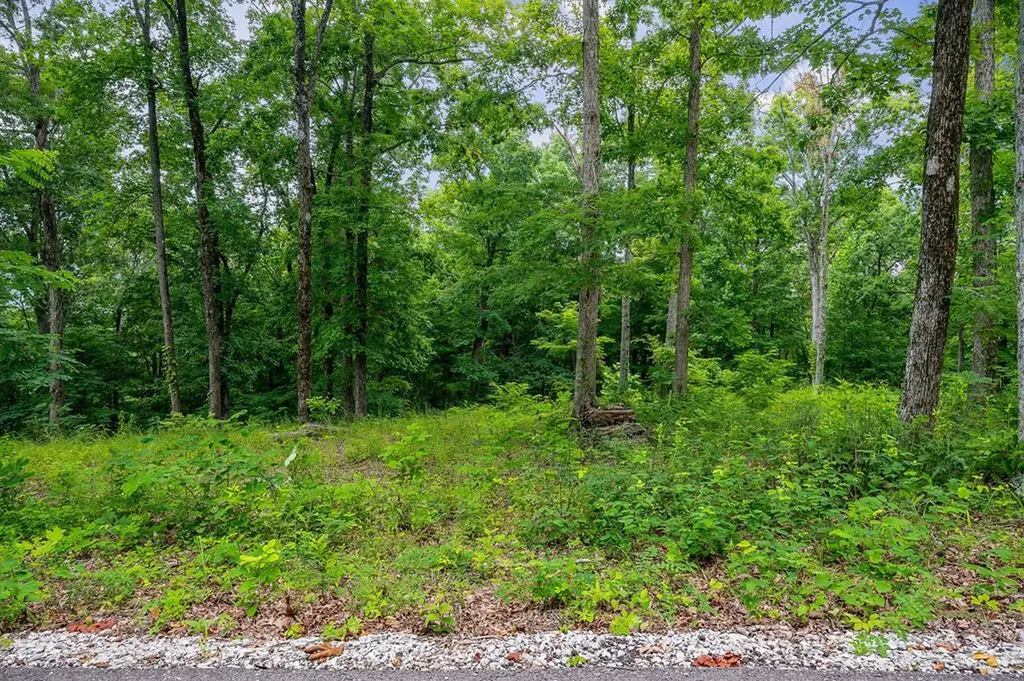 31 C Rock Fish Road Hilham TN 38568