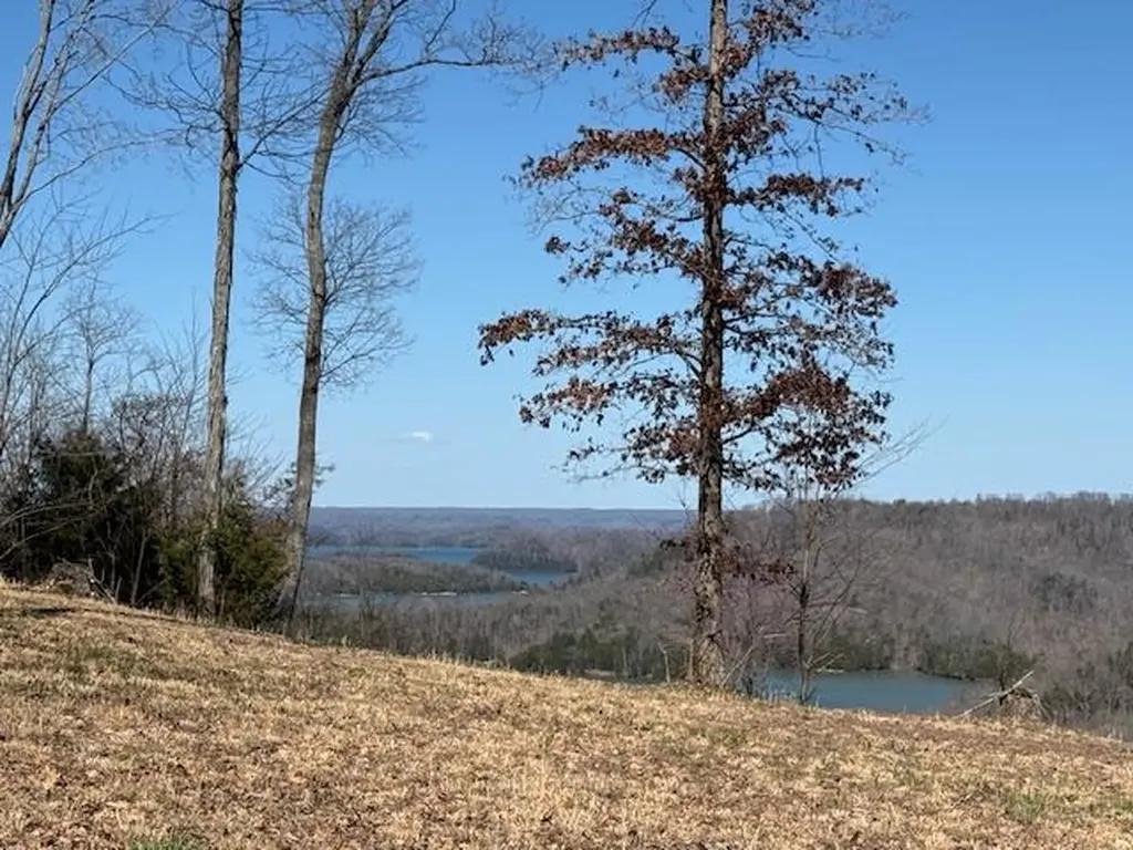 31 C Rock Fish Road Hilham TN 38568