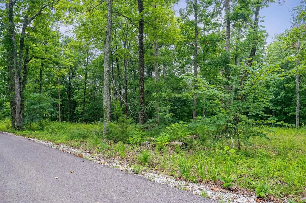 31 C Rock Fish Road Hilham TN 38568