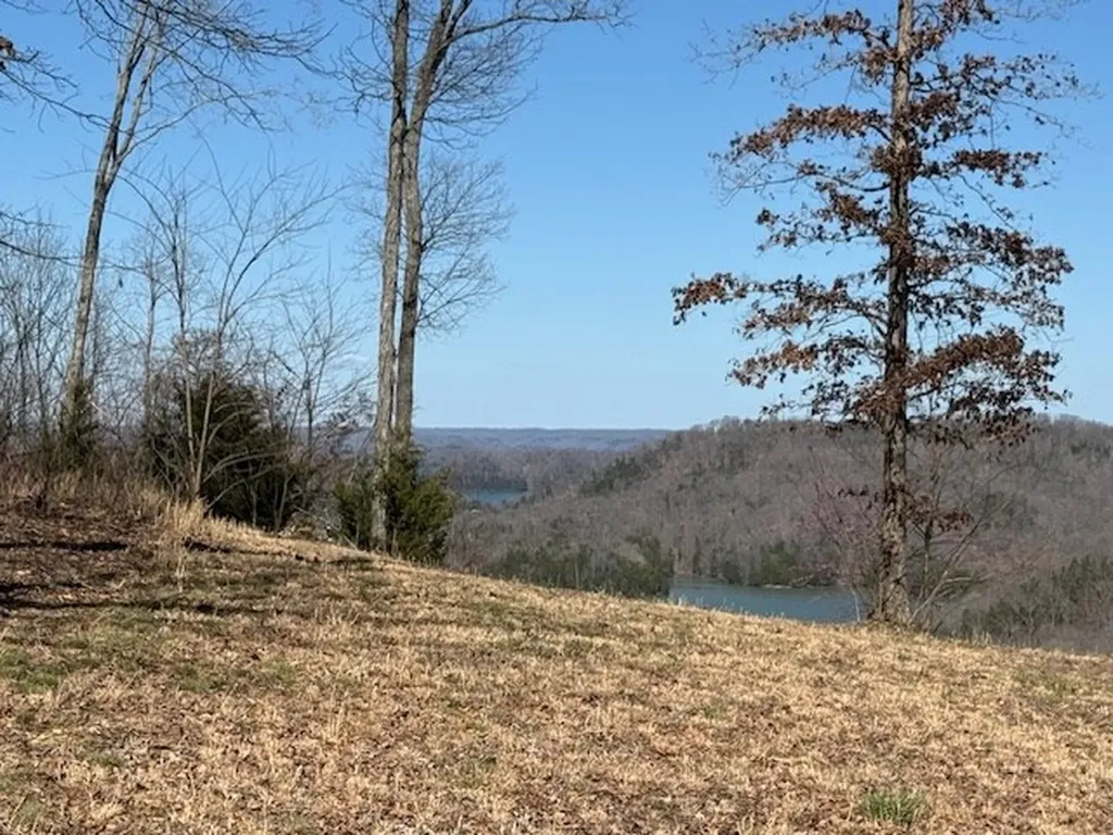 31 C Rock Fish Road Hilham TN 38568
