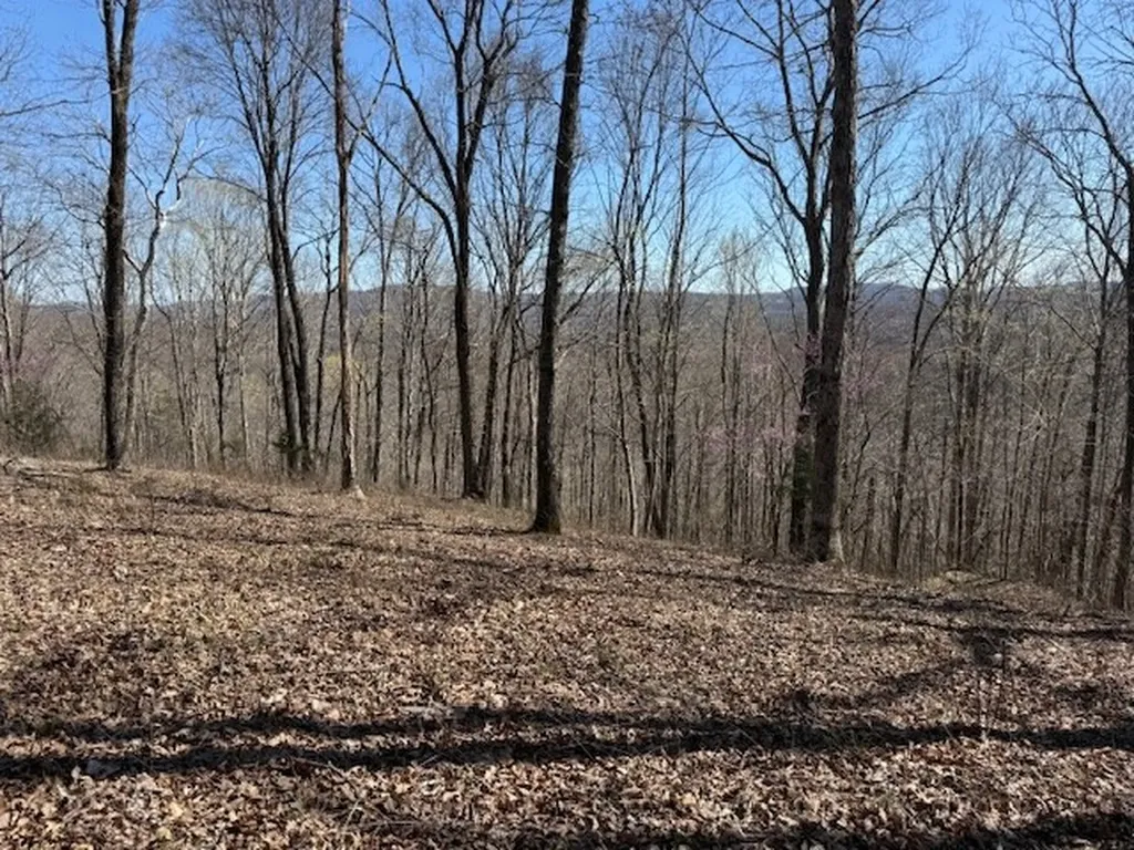 31 C Rock Fish Road Hilham TN 38568