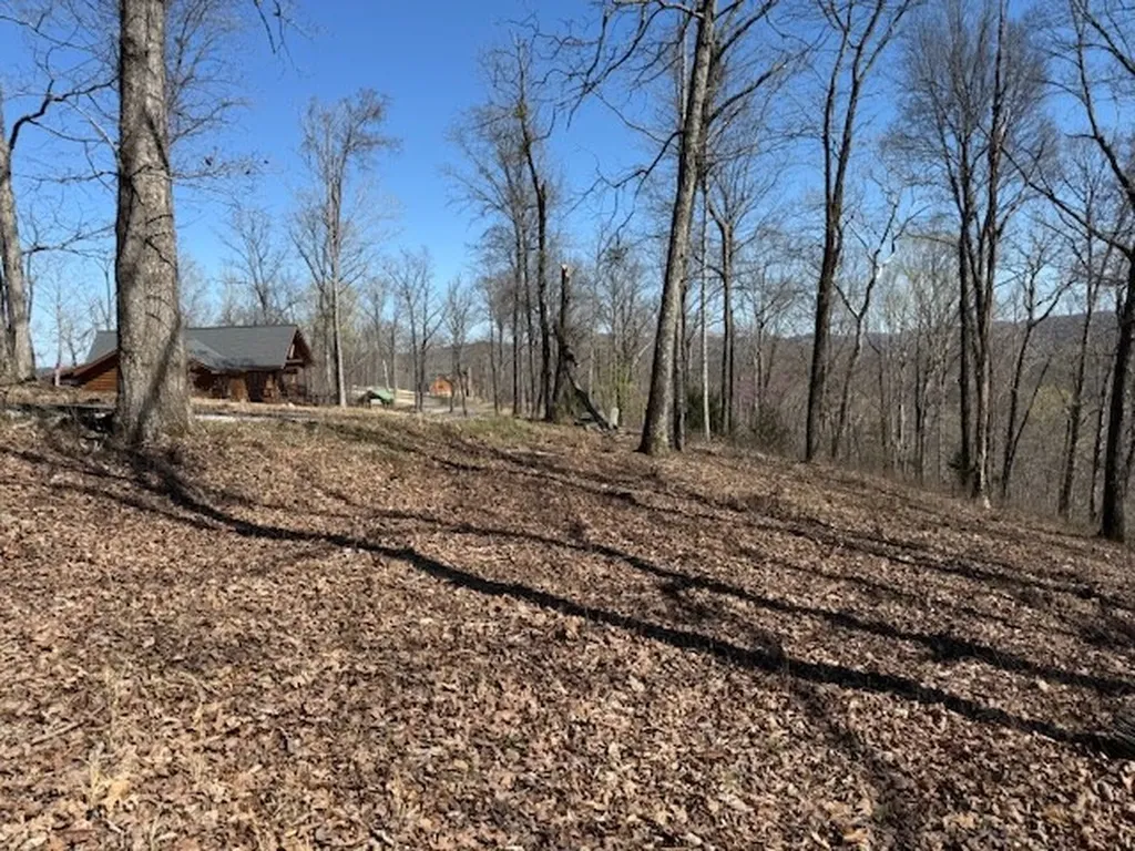 31 C Rock Fish Road Hilham TN 38568