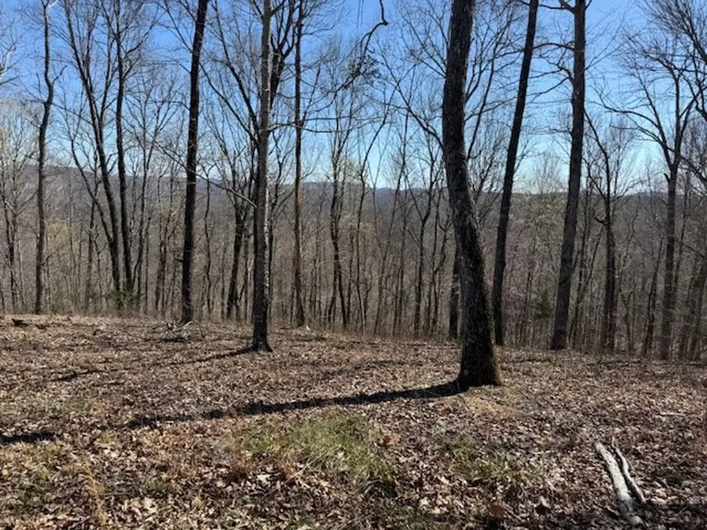 31 C Rock Fish Road Hilham TN 38568