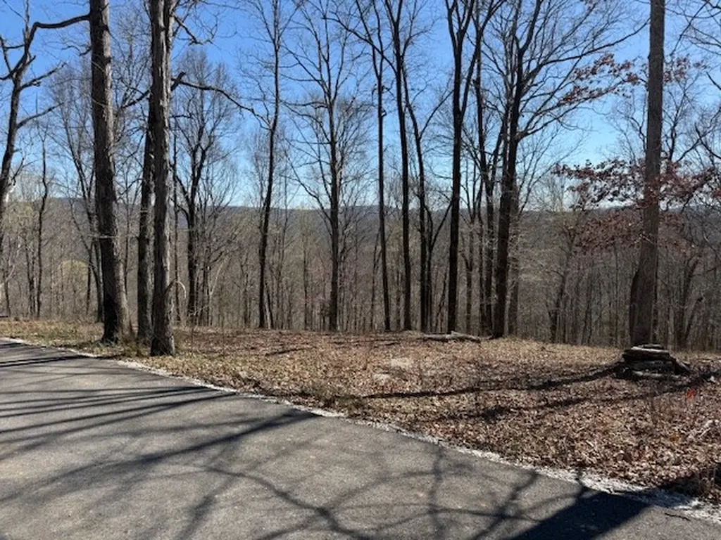 31 C Rock Fish Road Hilham TN 38568