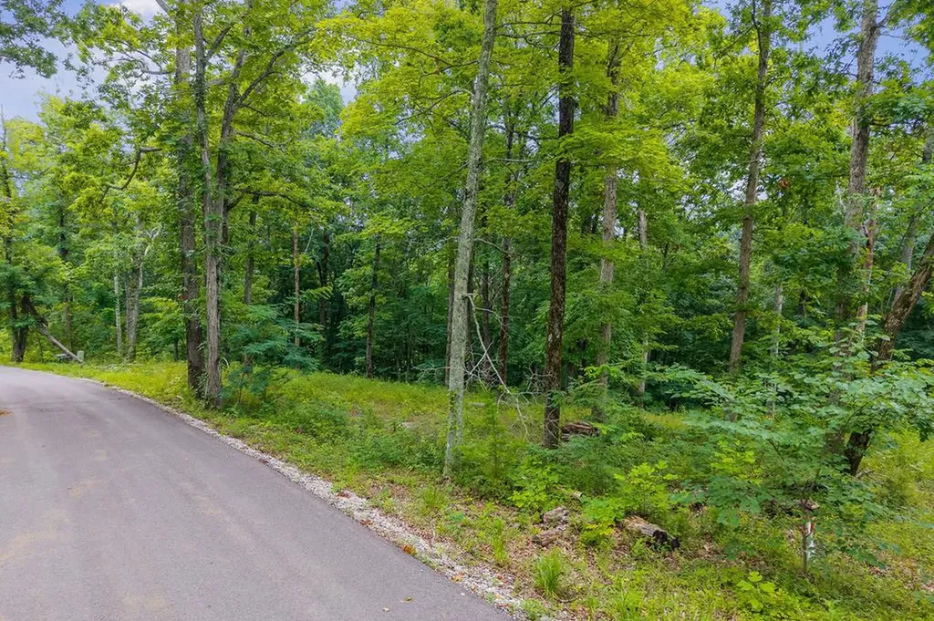 31 C Rock Fish Road Hilham TN 38568