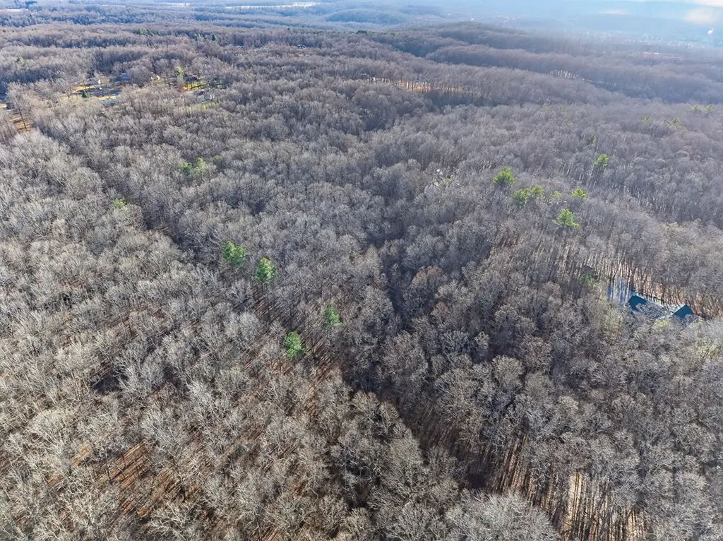 Lot 5 Clyde Place Monterey TN 38574