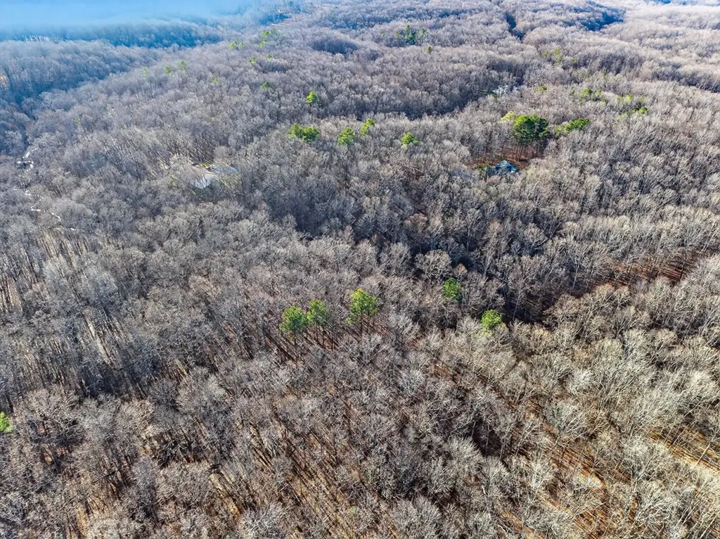Lot 5 Clyde Place Monterey TN 38574