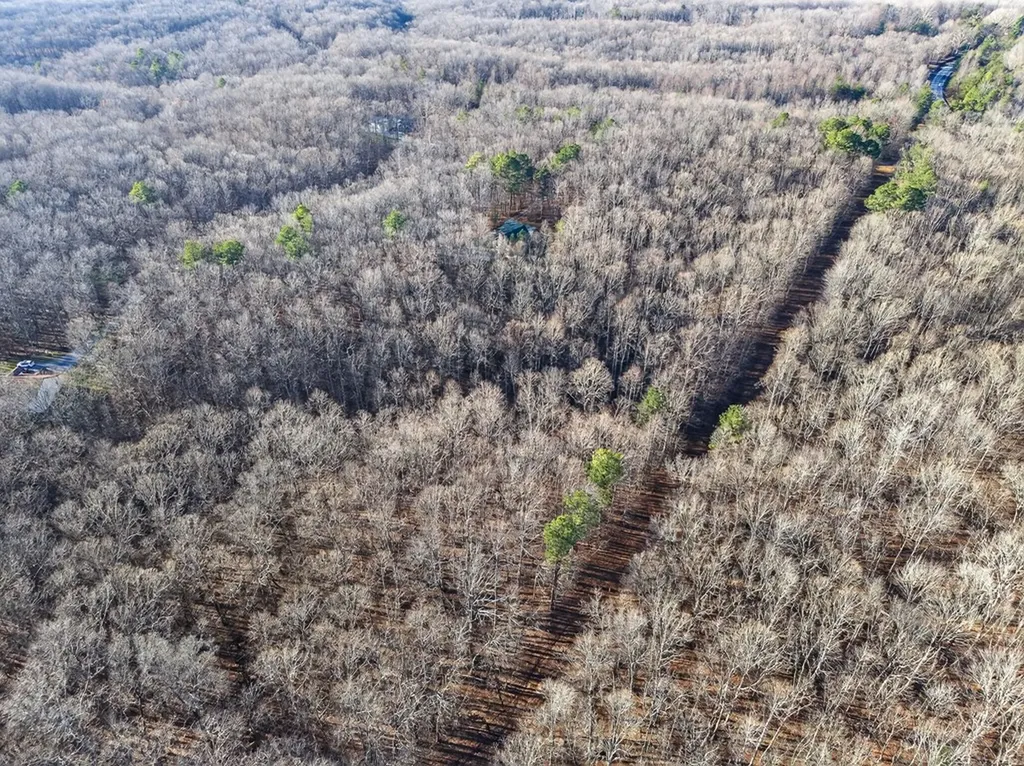 Lot 5 Clyde Place Monterey TN 38574