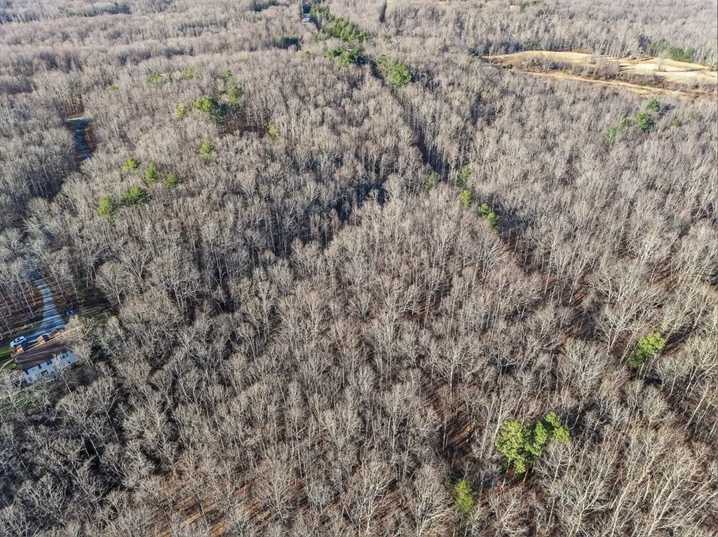 Lot 5 Clyde Place Monterey TN 38574