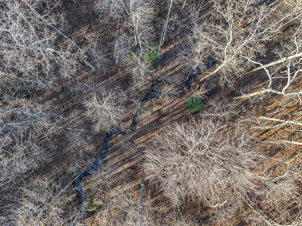 Lot 5 Clyde Place Monterey TN 38574