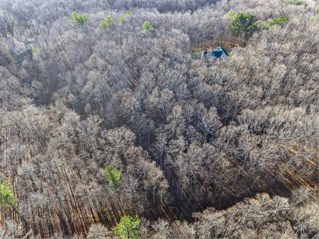 Lot 5 Clyde Place Monterey TN 38574