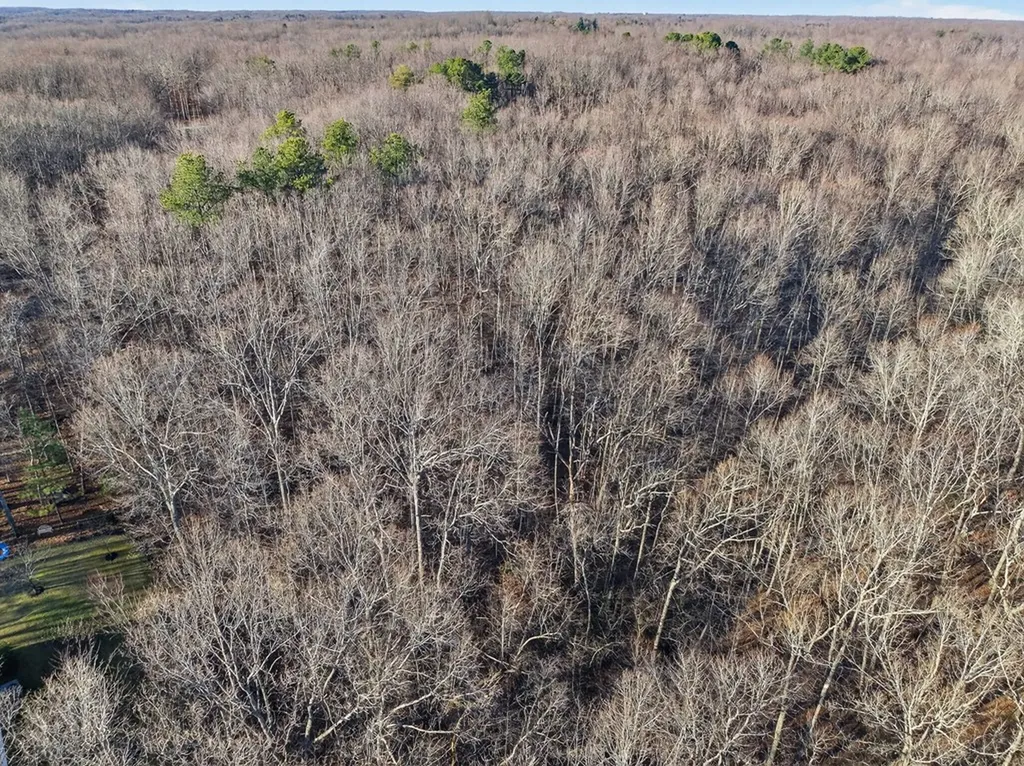 Lot 5 Clyde Place Monterey TN 38574