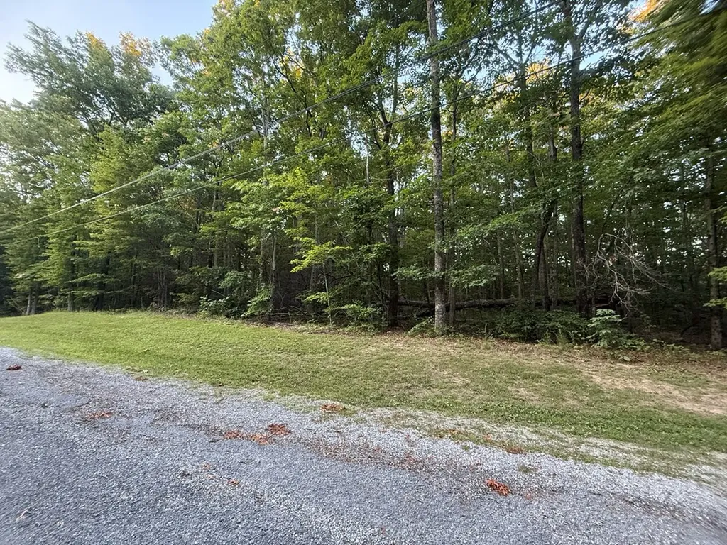 Lot 5 Clyde Place Monterey TN 38574