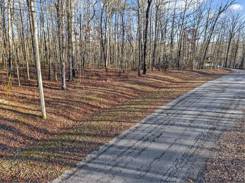 Lot 5 Clyde Place Monterey TN 38574