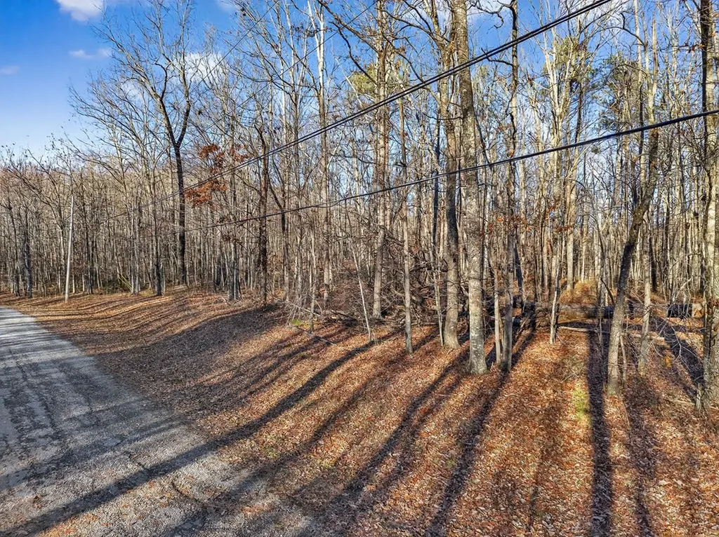Lot 5 Clyde Place Monterey TN 38574