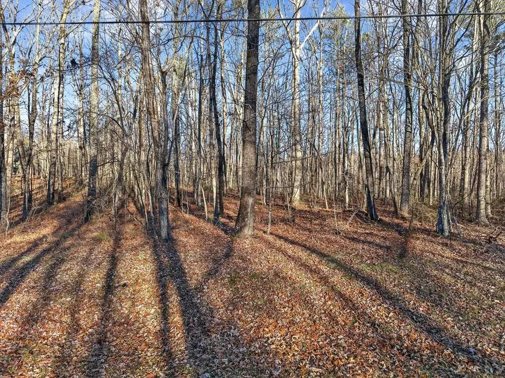 Lot 5 Clyde Place Monterey TN 38574