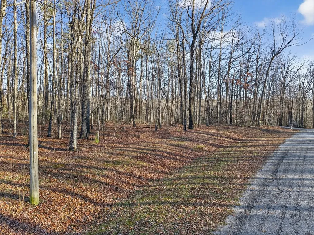 Lot 5 Clyde Place Monterey TN 38574