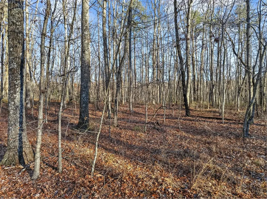 Lot 5 Clyde Place Monterey TN 38574
