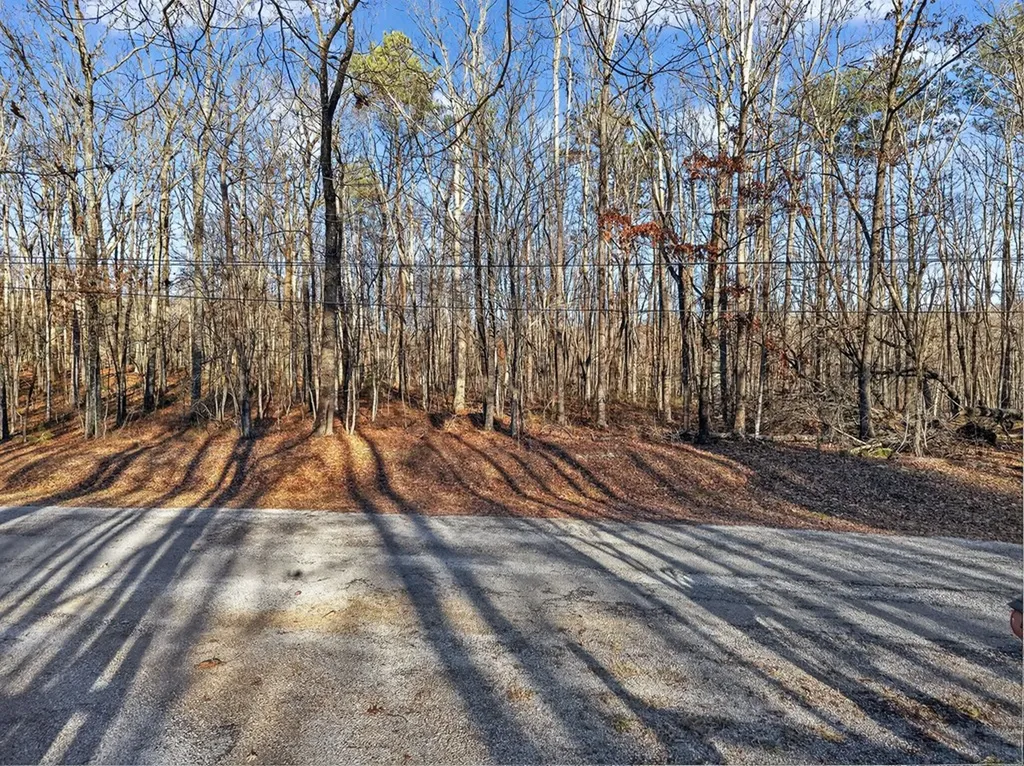 Lot 5 Clyde Place Monterey TN 38574