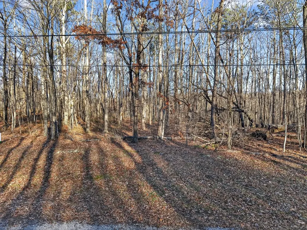 Lot 5 Clyde Place Monterey TN 38574