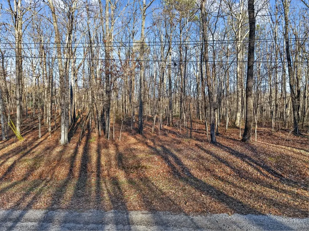 Lot 5 Clyde Place Monterey TN 38574