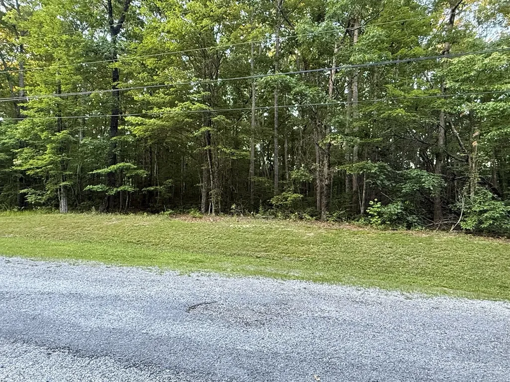 Lot 5 Clyde Place Monterey TN 38574