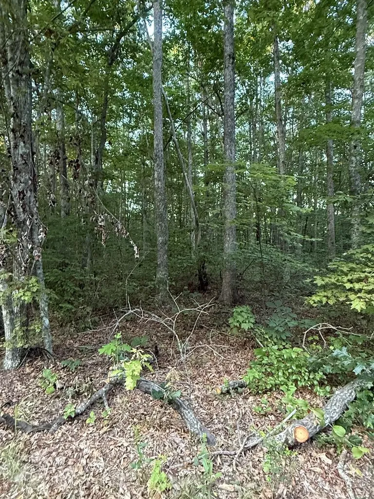 Lot 5 Clyde Place Monterey TN 38574